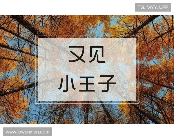 99%的人没看懂!小王子隐藏的13种人生真相 99%的人没看懂!小王子隐藏的13种人生真相