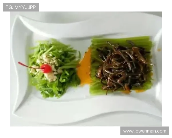 我爱中国菜谱写烟火人生的温情都市家庭暖心电视剧故事 我爱中国菜谱写烟火人生的温情都市家庭暖心电视剧故事