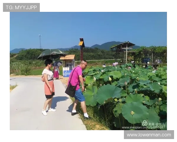 《美国之声》第四季:不只是歌唱,更是一场梦想与勇气的华丽蜕变 《美国之声》第四季:不只是歌唱,更是一场梦想与勇气的华丽蜕变
